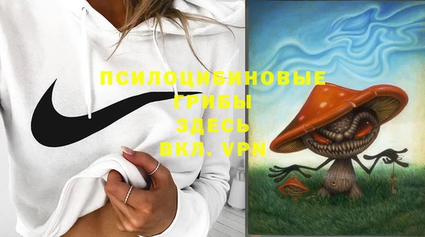 спайс Баксан