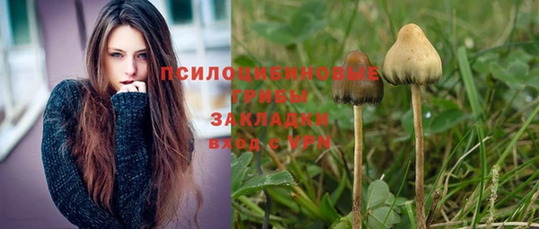 спайс Баксан